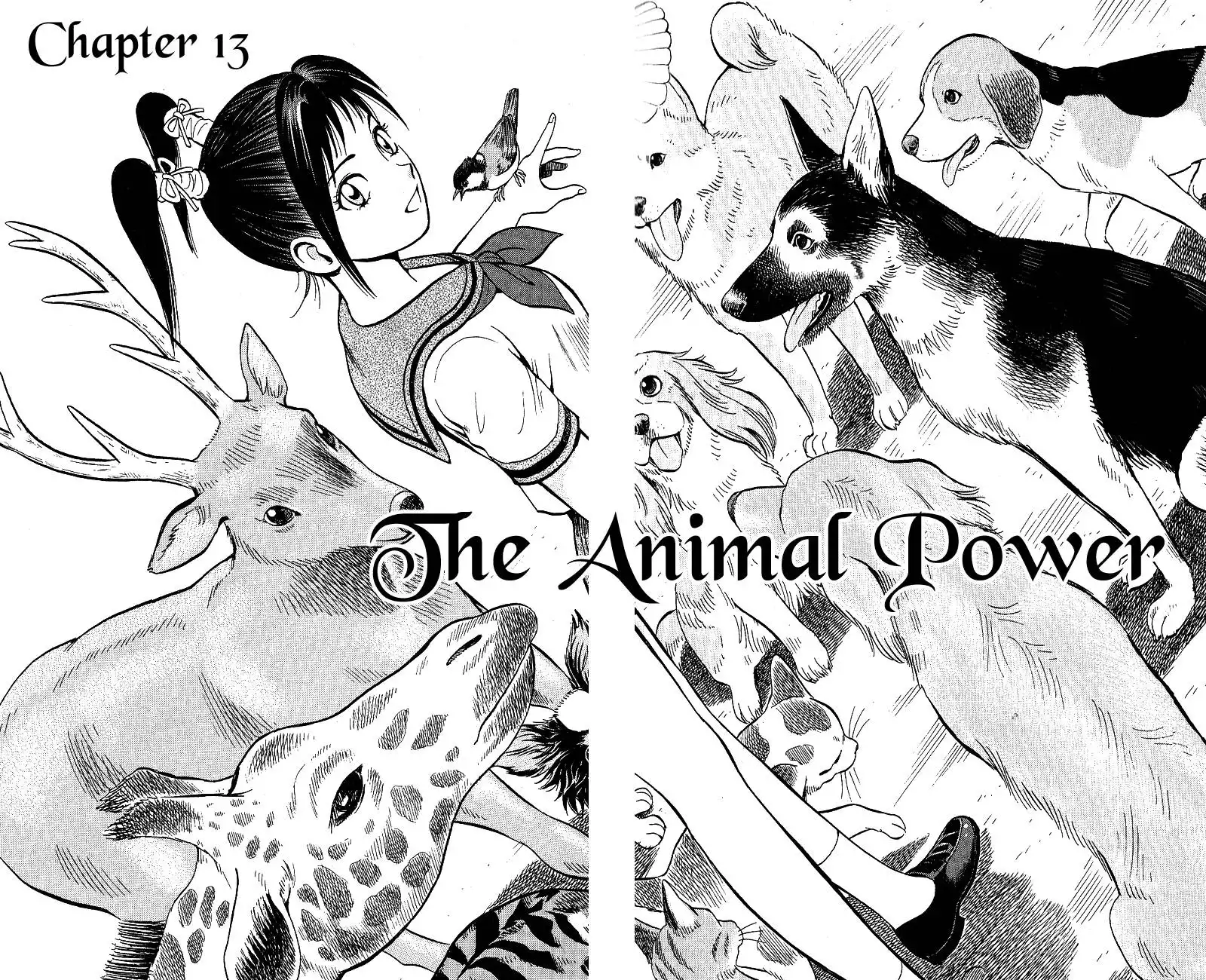 Animal Sense Chapter 13 3